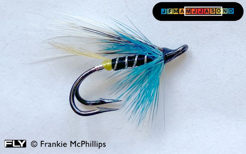 Mouche Da Salmone Blue Smelt Double Hook, Hairwing, Pechetruite, Nuova