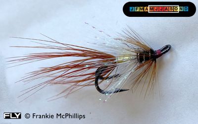 Mouche à saumon Sweep double - Shadow Flies