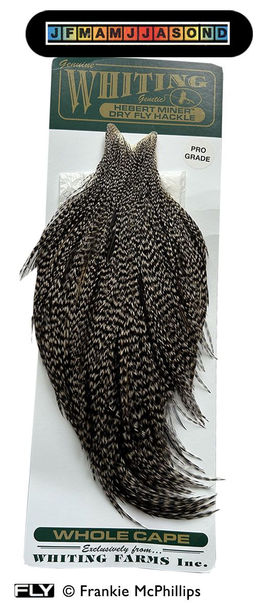 1*u様 Whiting Farms Hebert Miner Dry Fly Whiting/Hebert Miner Dry Fly Capes/Necks