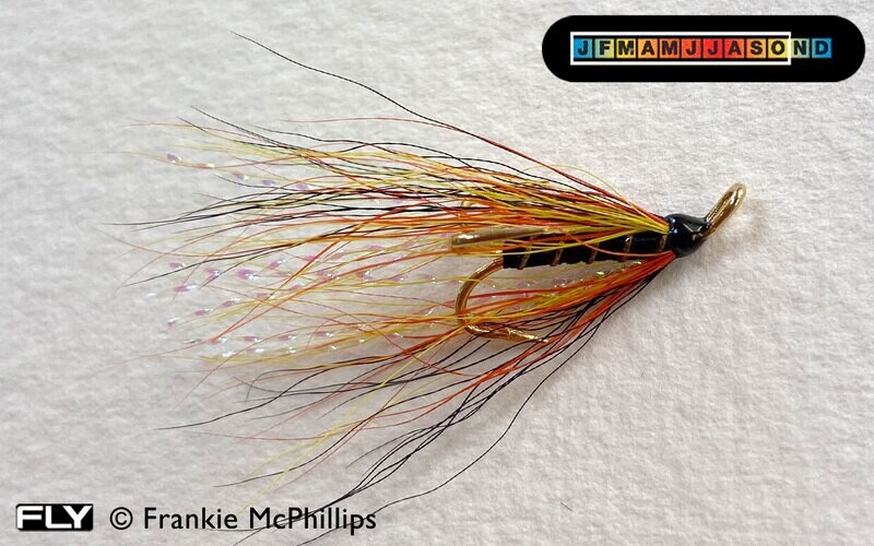 Mosche Per Salmone V Fly Signature Gold Cascade – Treble JC Willie Gunn – Multicolore (3 Pezzi)