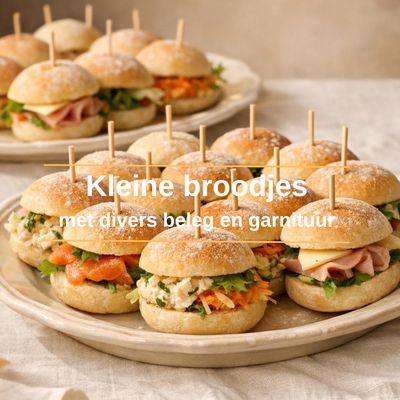 Kleine broodjes met divers beleg en garnituren - vanaf 20 stuks