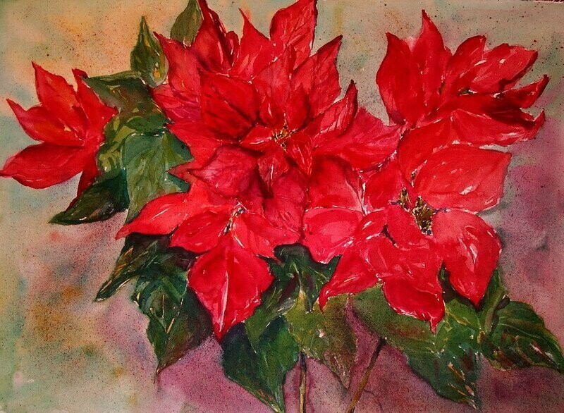 Weihnachtsstern