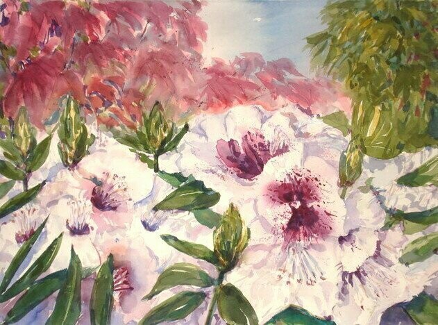 Rhododendron (1)