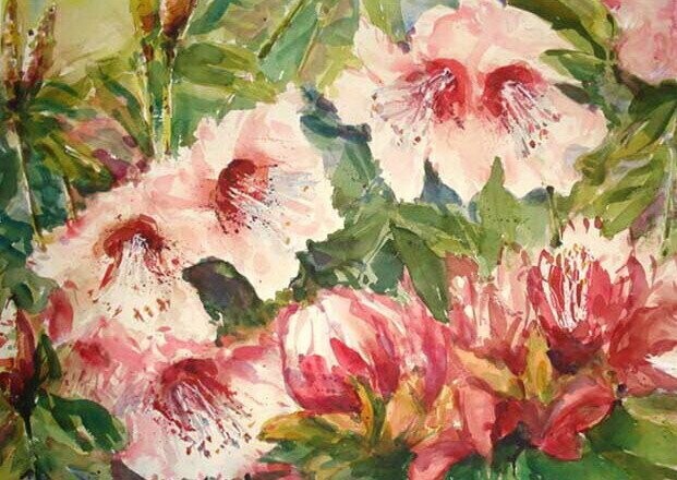 Rhododendron (2)