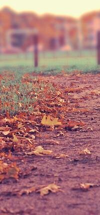 B-Stock / Dell PowerConnect 2848 Ethernet Switch 48 port