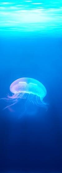 B-Stock / Dell Monitor Stand DS1000