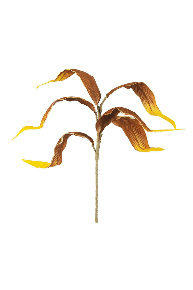 Yellow Brown Leaf Stem
