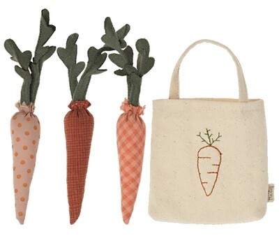 Carrots in shopping Bag