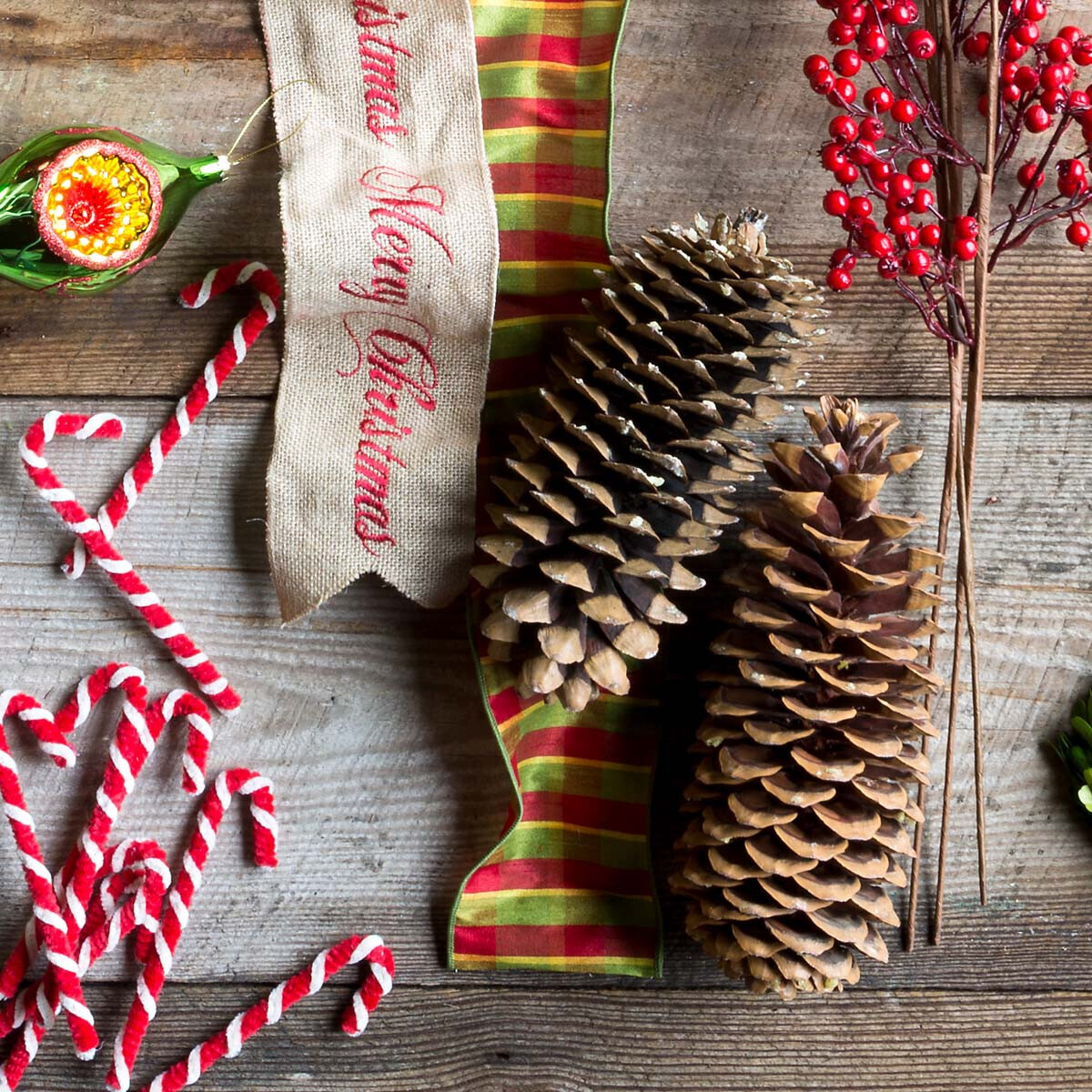 Sugar Pine Cones