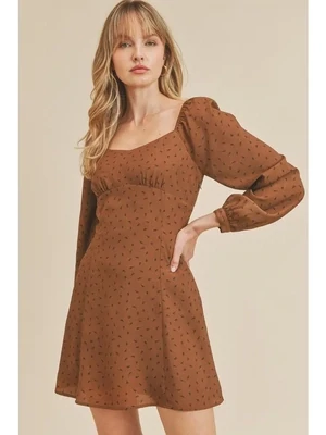 Brown Shirring Long Sleeve Dress