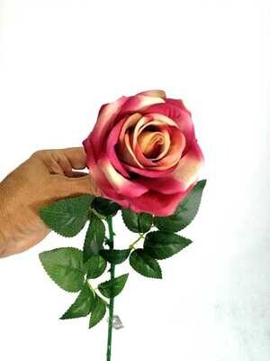ROSA DEGRADE 70 CMS COLOMBIA