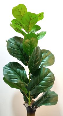 PLANTA ARTIFICIAL PANDURATA 85 CMS SIN MATERA