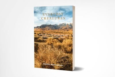 Everyday Creatures - Paperback Everyday Creatures - Paperback
