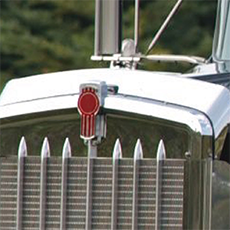 Stainless Steel Bug Deflector for Kenworth W900L