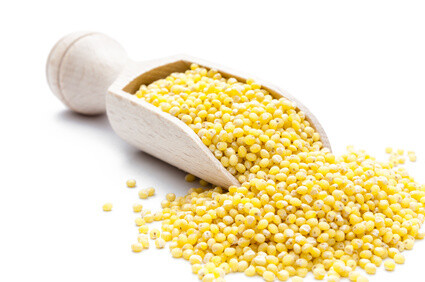 BIO Speise GOLDHIRSE
