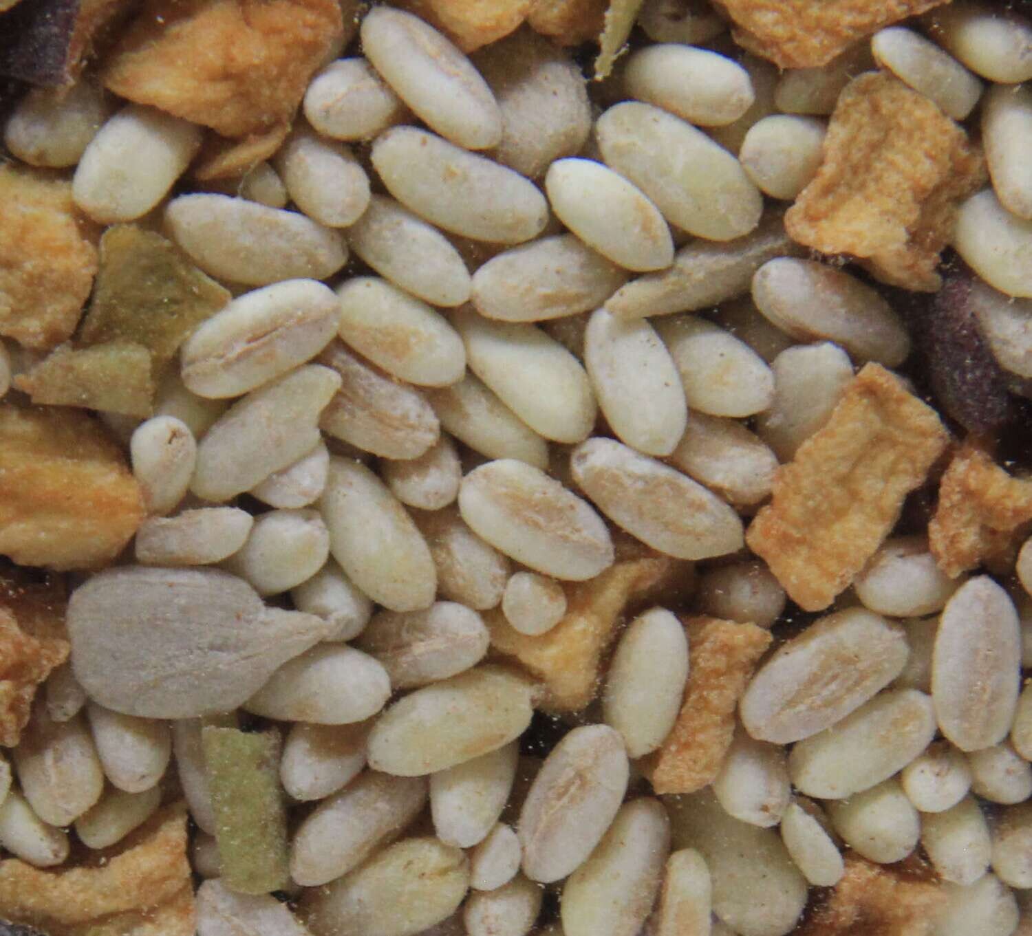 BIO Dinkel Milchreis