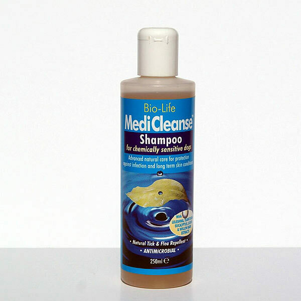 dog mite shampoo