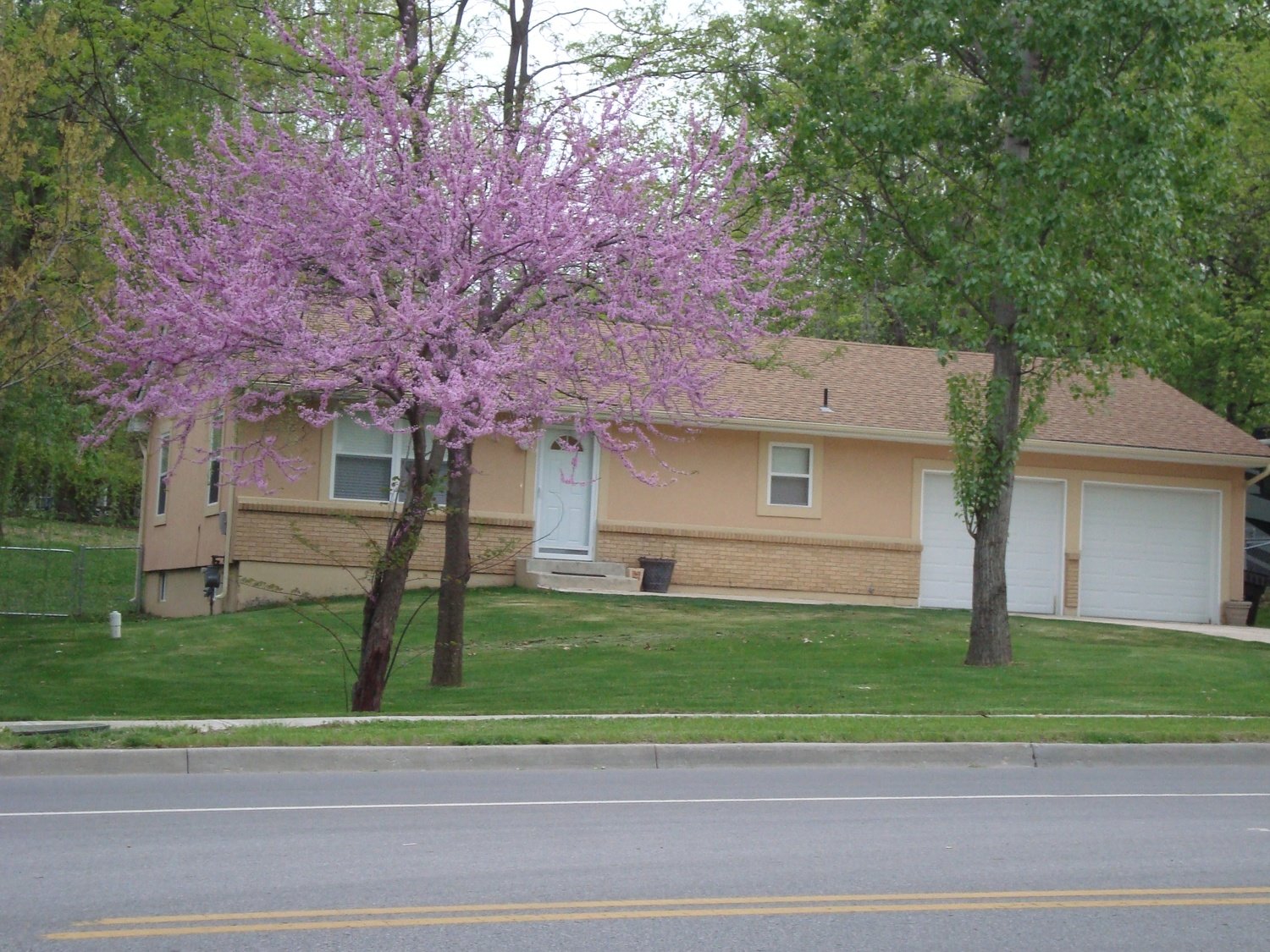 5 Bedroom 2 Bath 2 Car Attached Garage--all polished marble floors--All NEW--