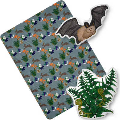 Blankets and Pillows