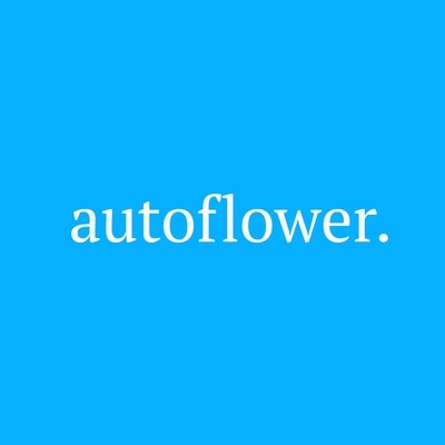 Autoflowers