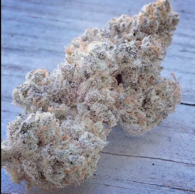 Sunken Treasure Seeds