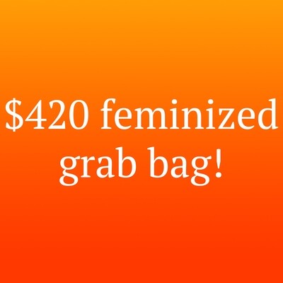 $420 Grab Bag! Feminized Seeds