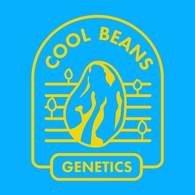 Cool Beans Seeds