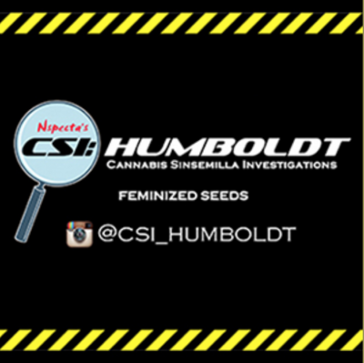 CSI: Humboldt