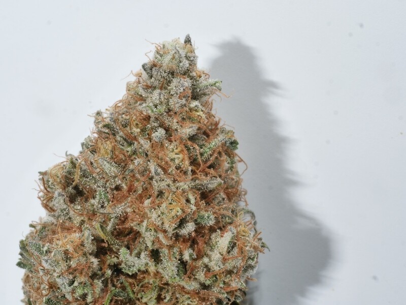 FiveStar S1 - 7 Feminized Seeds - Mass Medical Strains