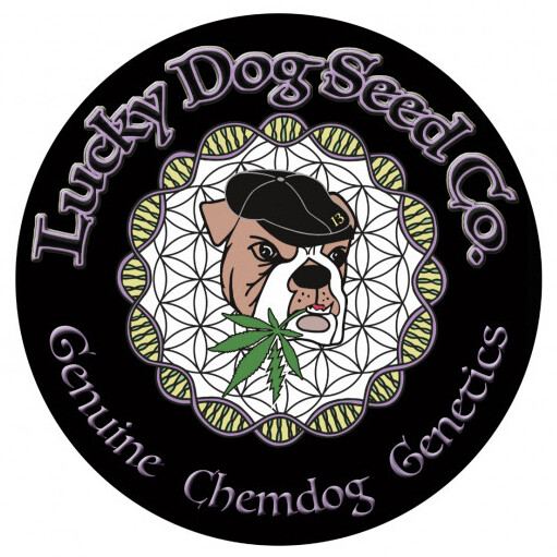 シェークスピア　lucky dog シェークスピア lucky dog シェークスピア lucky dog Vtg Wood