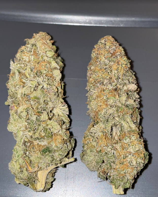 Emoji - 7 Feminized Seeds - Mass Medical Strains