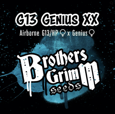 G13 Genius XX - 9 Feminized Seeds - Brothers Grimm