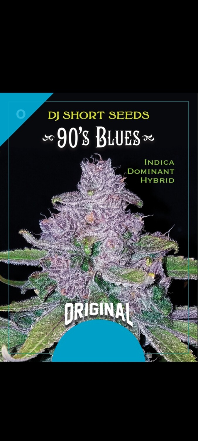 90's BLUES - 10 Regular Seeds - Plus Freebie Inisde: Family Blues V3 Fem (DJ Short F4 BB x Blue Star) - DJ Short/Blue Star Seed Co