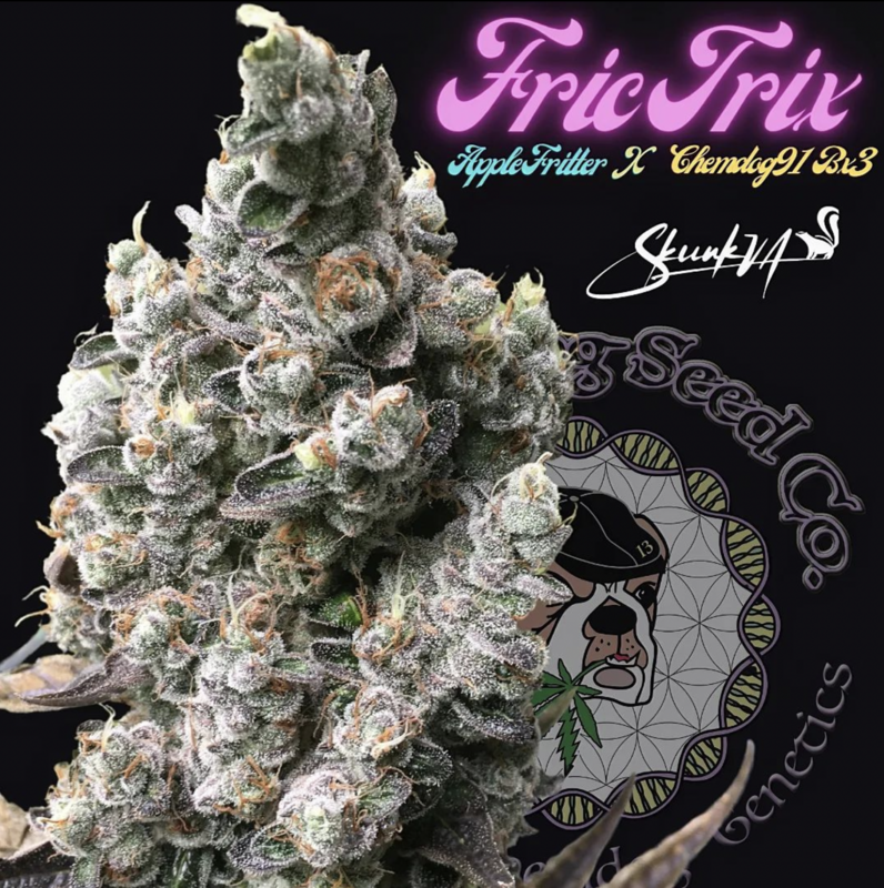 FricTrix - 13 Regular Seeds - Lucky Dog Seed Co