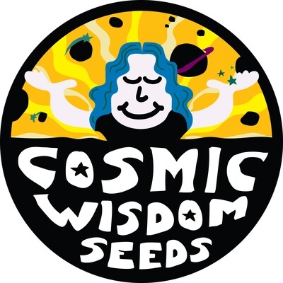 White Runtz x Sour Hindi - *Untested Pre-Release* - 10 Regular Seeds - Cosmic Wisdom Seeds