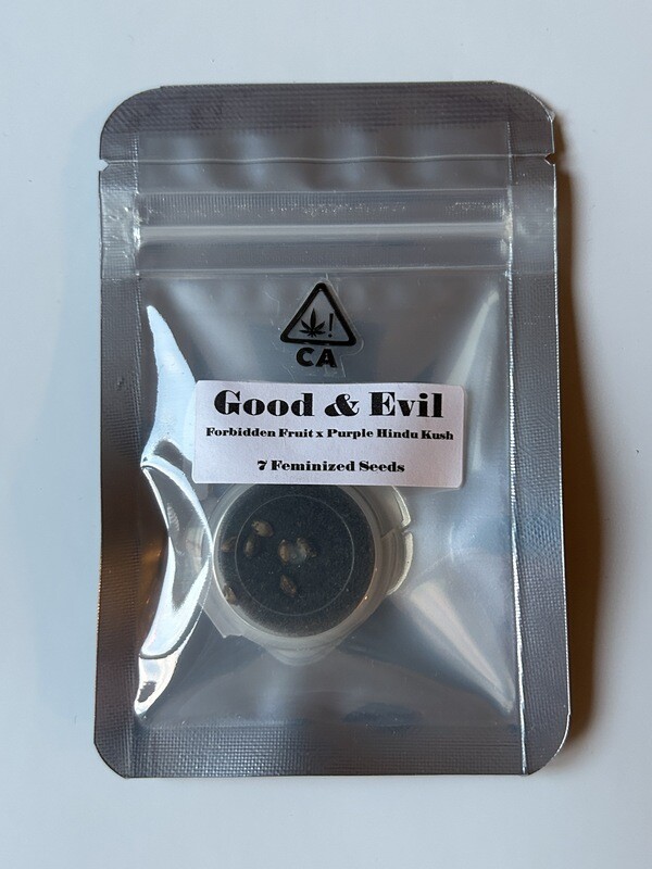 Good &amp; Evil - 7 Feminized Seeds - CSI: Humboldt