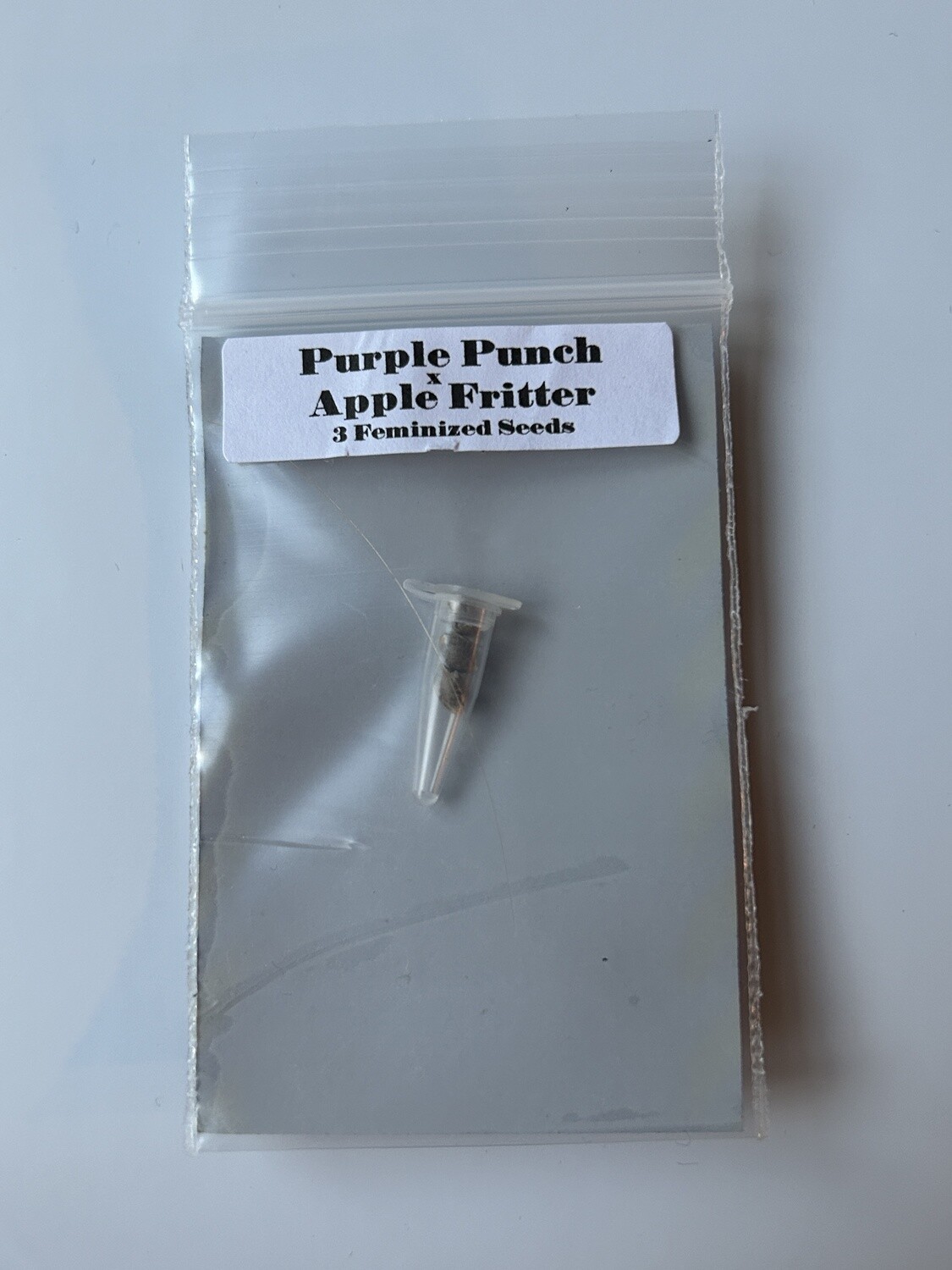 Purple Punch x Apple Fritter - 3 Feminized Seeds - CSI: Humboldt *Vault Item*