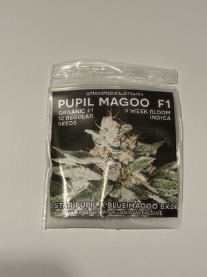 Pupil Magoo F1 - 12 Regular Seeds - Mass Medical *Vault Item*