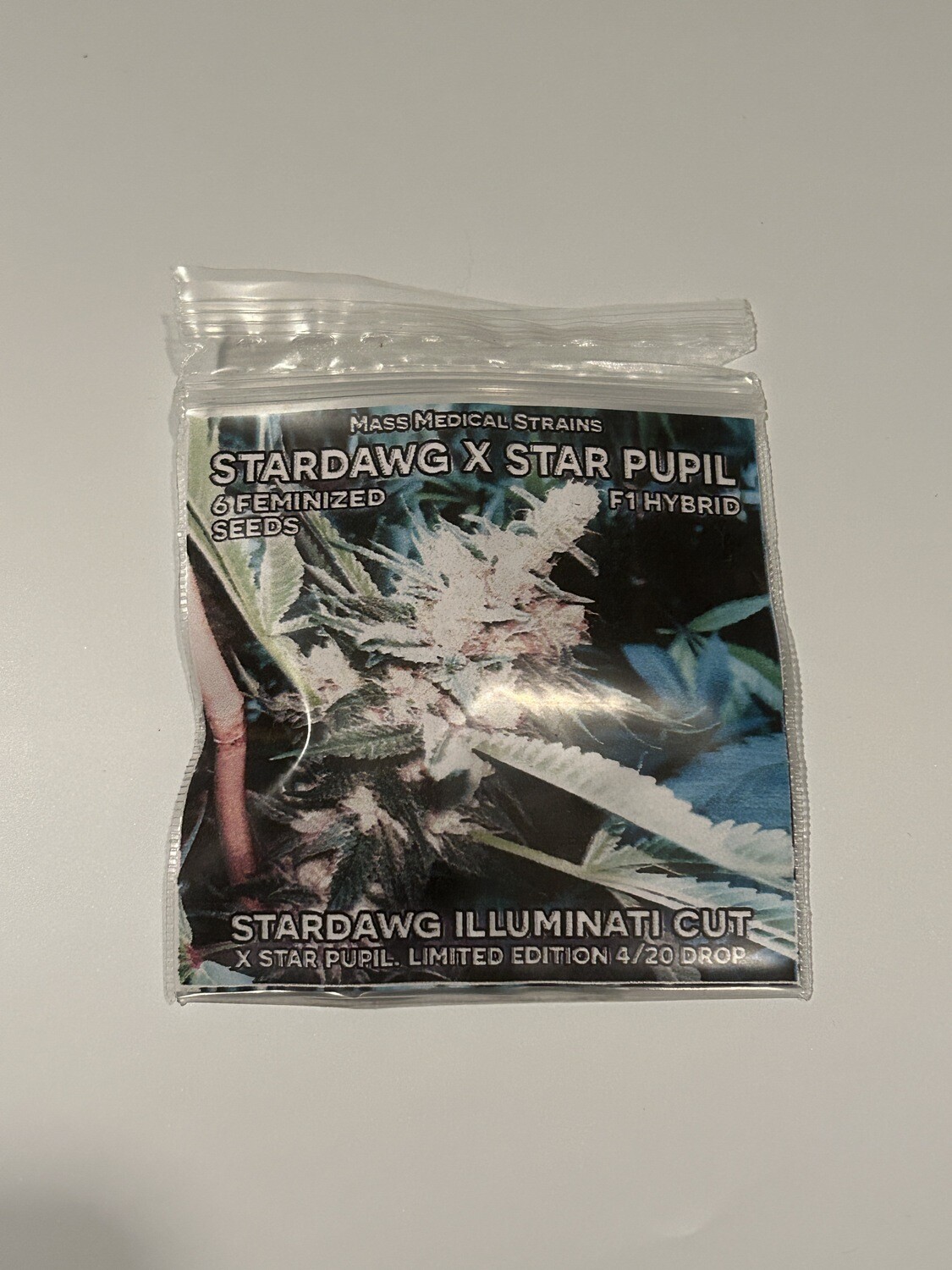 Stardawg Illuminati x Star Pupil - 6 Feminized Seeds - Mass Medical *Vault Item*