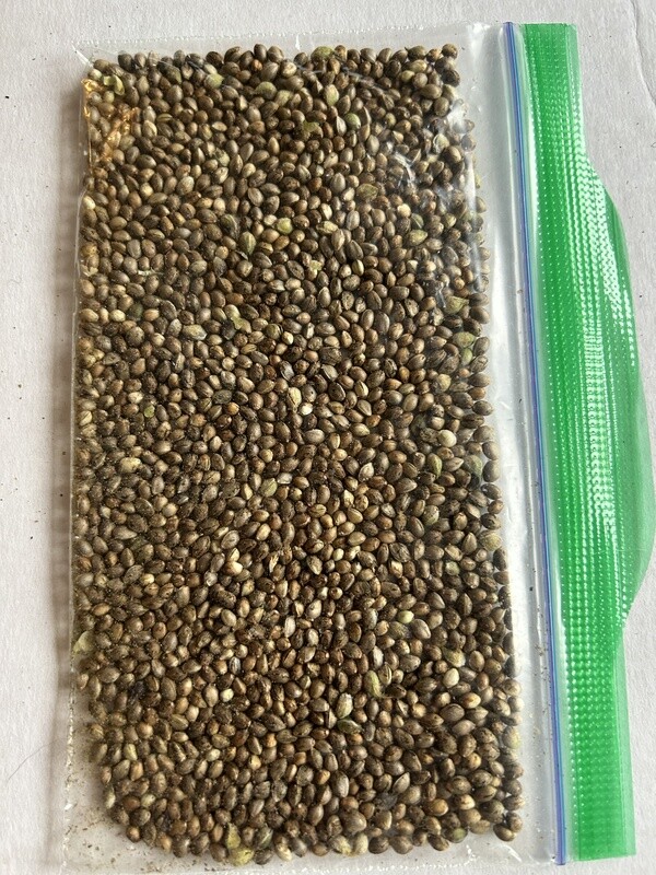 Neville&#39;s Hindu Haze - Purple NL2 Haze x PHKM10 Regular - 20g Approx 1220 Seeds - Cosmic Wisdom Bulk Breeder Pack