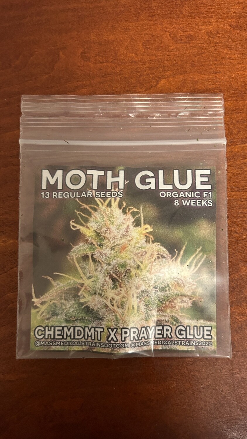 Moth Glue - 13 Regular Seeds - Mass Medical Strains *RARE*
