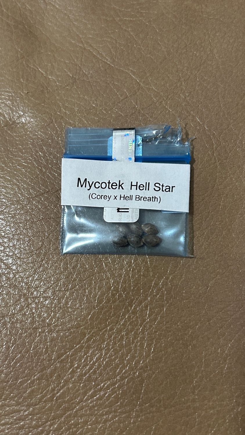 Mycotek Hell Star 6 Regular Seeds *Vault Item*