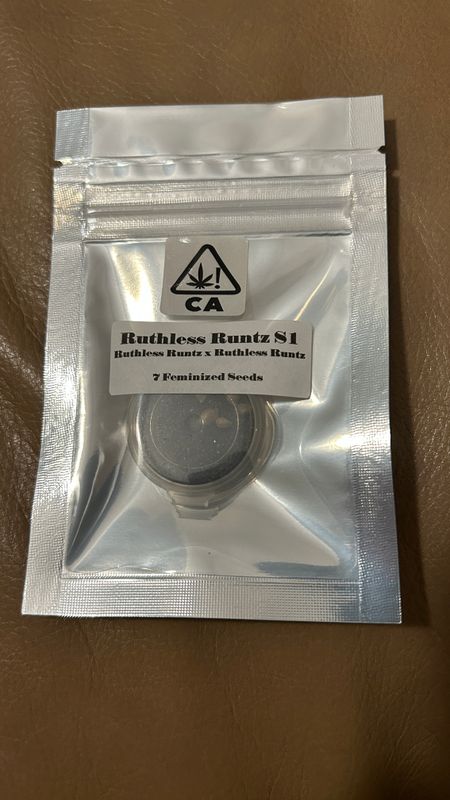 Ruthless Runtz S1 - CSI Humboldt - 7 Feminized Seeds *Vault Item*