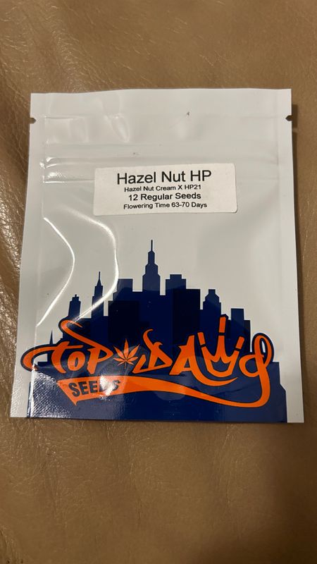 Hazelnut HP - Top Dawg Seeds 12x Regular Seed *Vault Item*