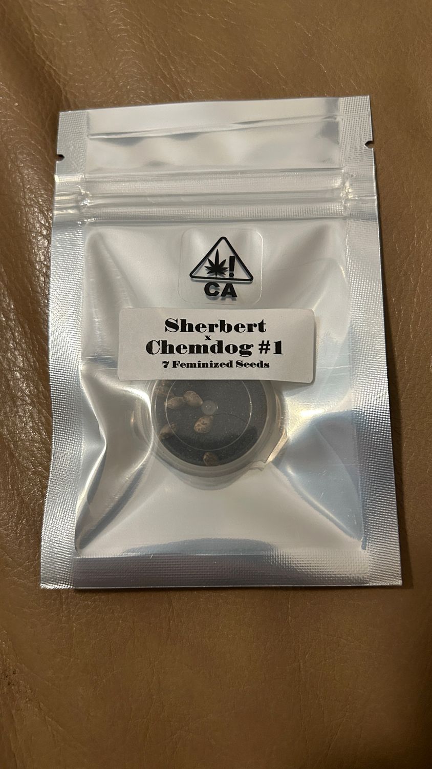 Sherbert x Chemdog #1 - CSI Humboldt - 7 Feminized Seeds *Vault Item*