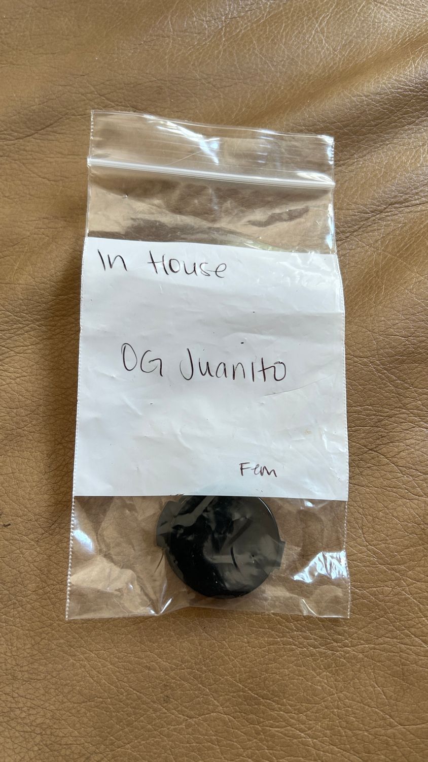OG Juanito - In House Fem Seeds *Vault Item*