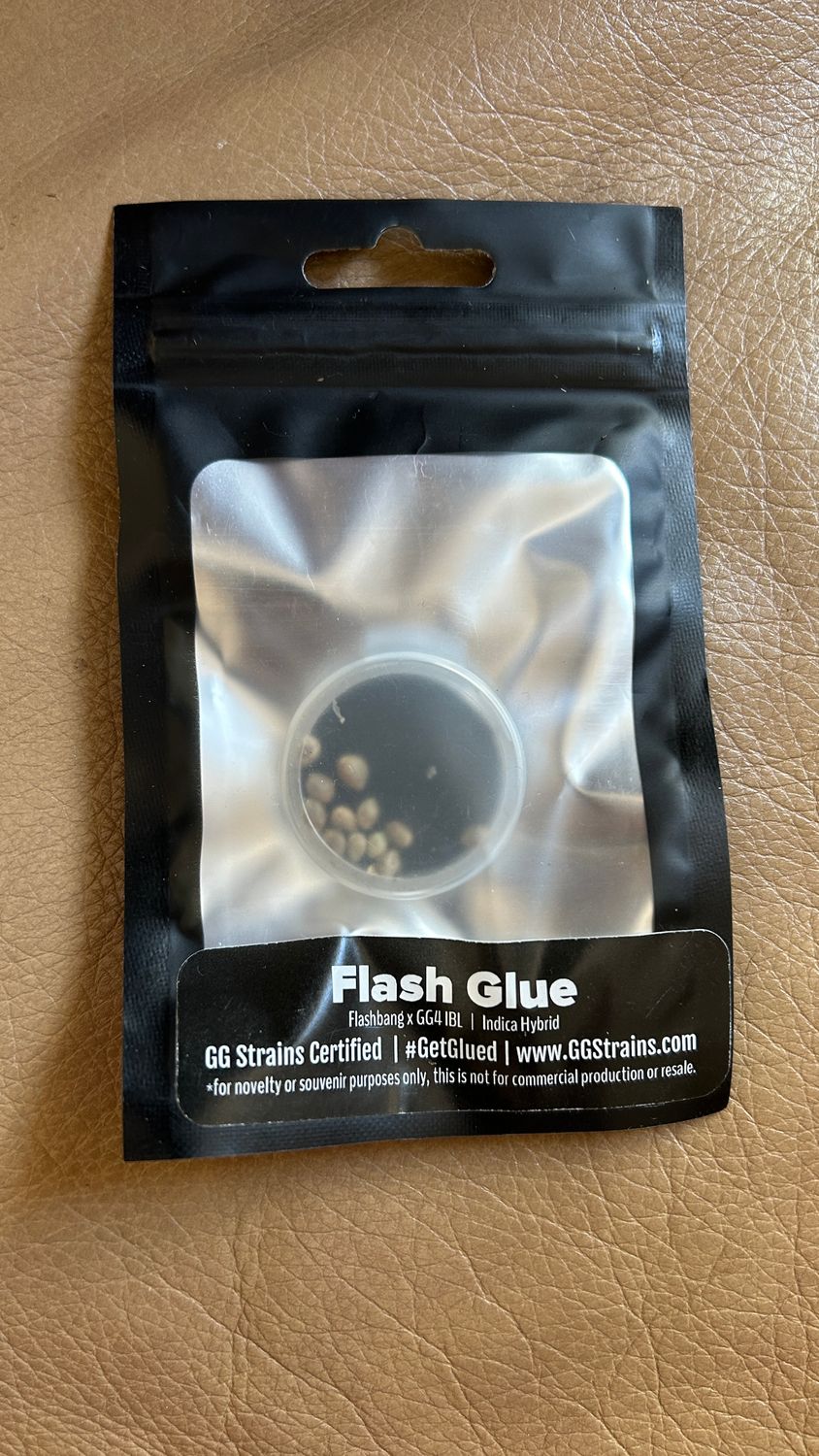 Flash Glue - GG Strains 12 Regular Seeds - *Vault Item*