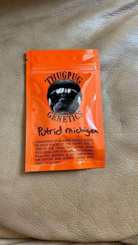 Putrid Michigan - ThugPug Genetics - Regular Seeds - *Vault Item*