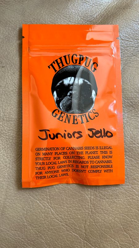 Junior&#39;s Jello - ThugPug Genetics - Regular Seeds - *Vault Item*