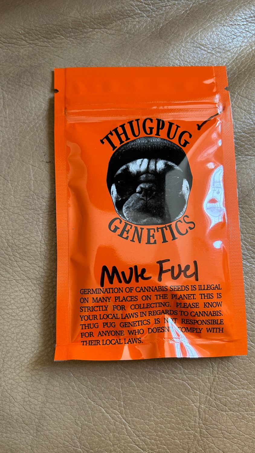 Mule Fuel - ThugPug Genetics - Regular Seeds - *Vault Item*